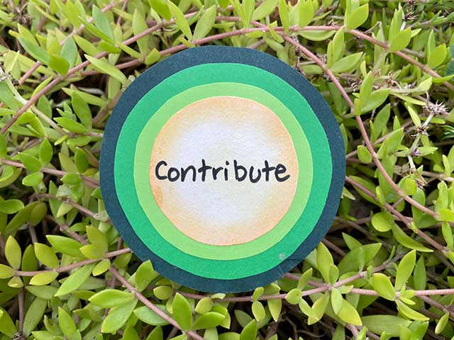 Contribute Resources