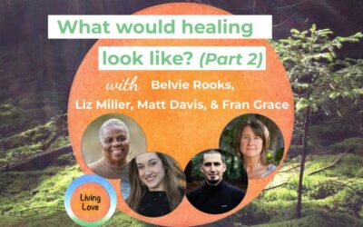 What Would Healing Look Like? (Part 2) with Belvie Rooks, Liz Miller, Matt Davis, &  Fran Grace